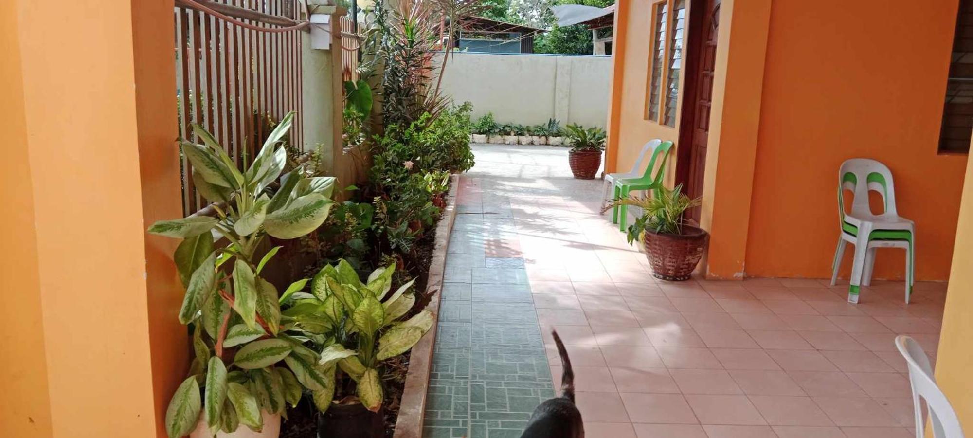 Jessa'S 5 Guests House Hotel Moalboal Luaran gambar